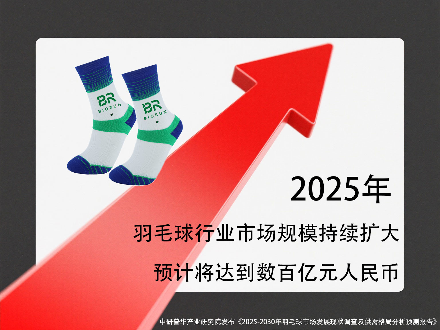 羽毛球行业持续增长