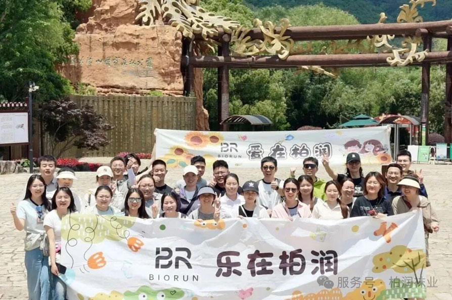 柏润集团合影